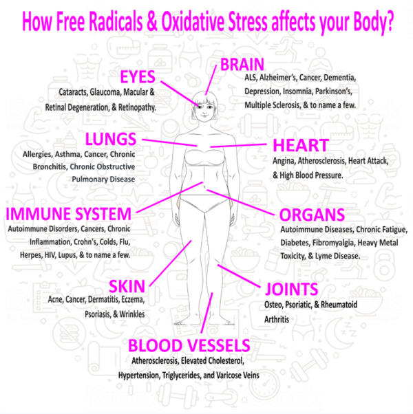 Antioxed Multivitamin Multi-Collagen: Fruit Jubilee - Image 8